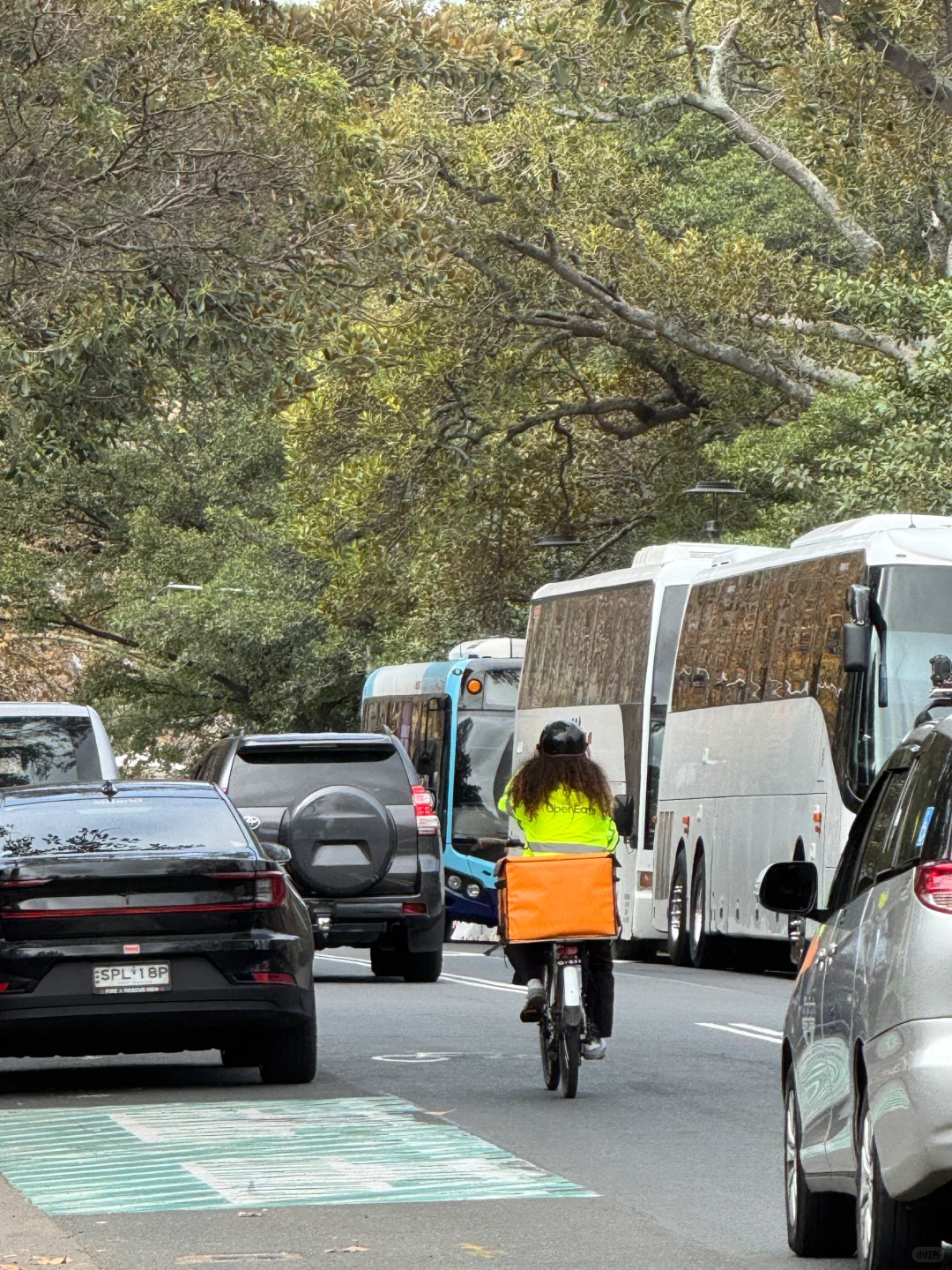 澳洲whv｜落地一个月感受