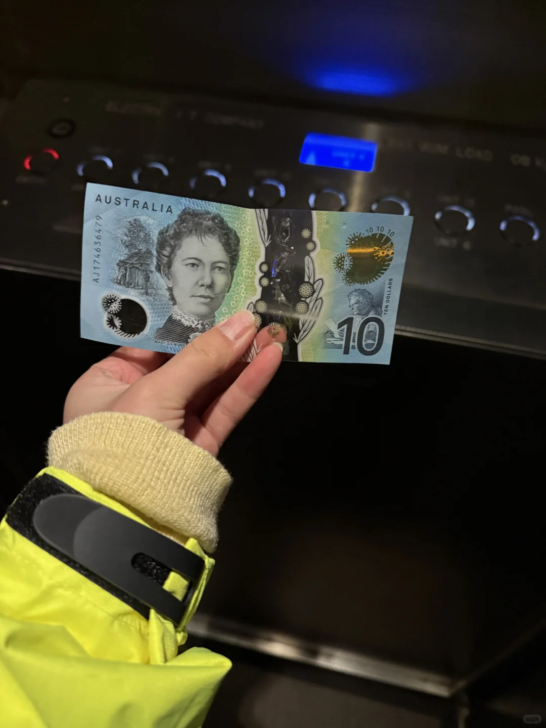 澳洲whv｜落地一个月感受