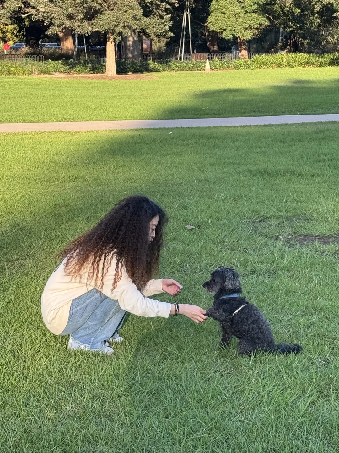 澳洲whv｜落地一个月感受