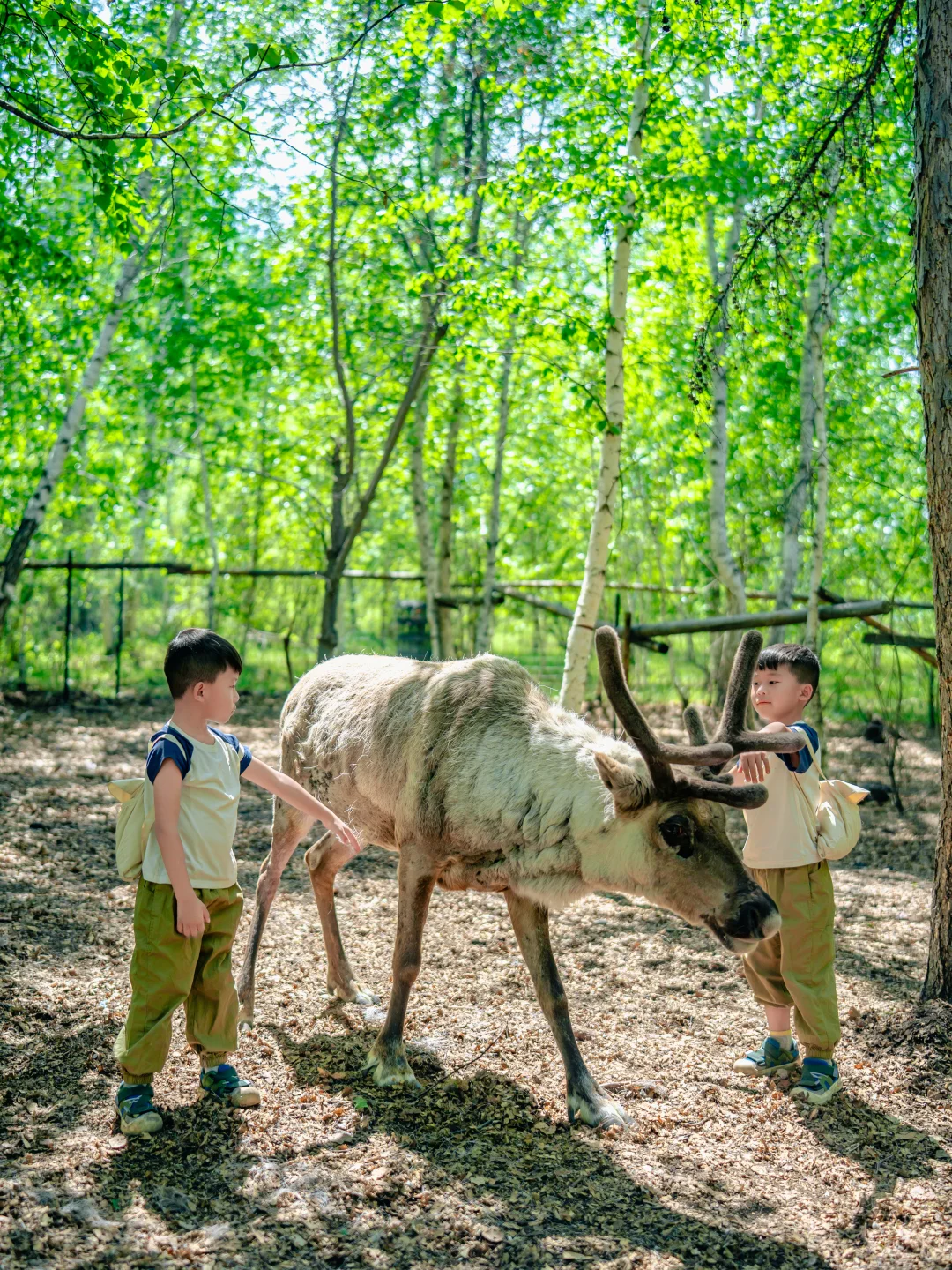呼伦贝尔亲子游，娃哭着不愿意回来的攻略！