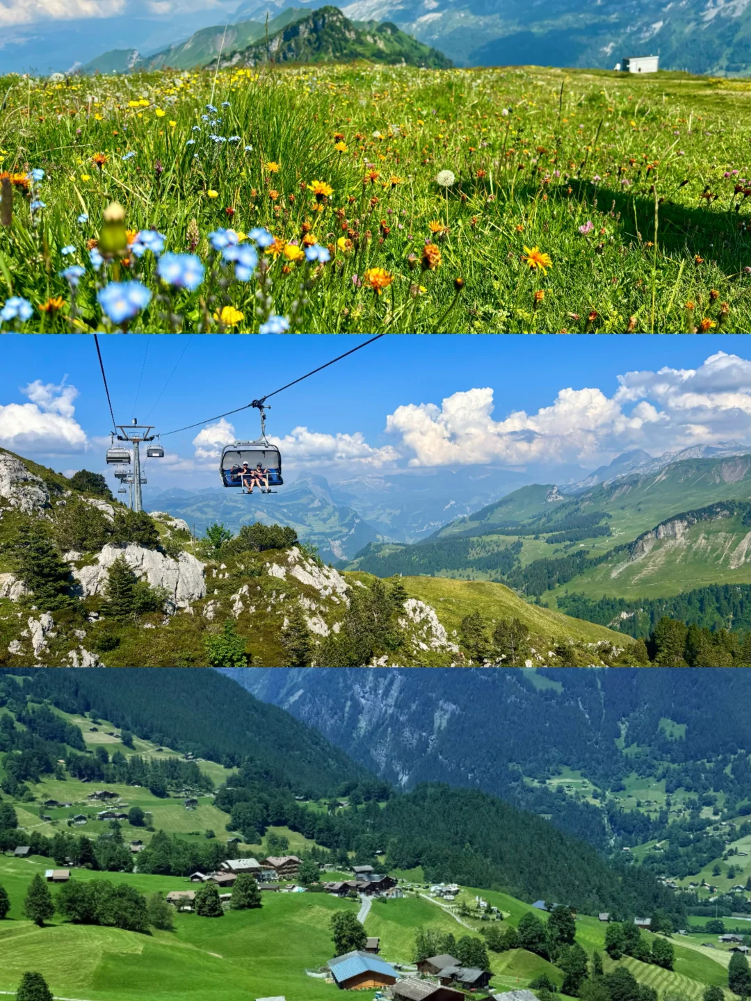 在阿尔卑斯山坐黄金列车⛰️