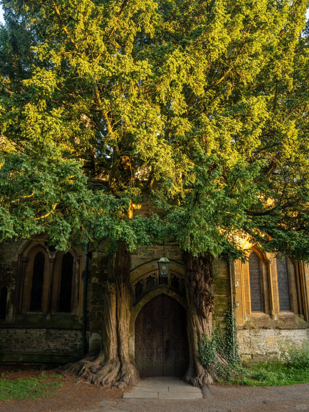 “终有一天你会来到英国🇬🇧”