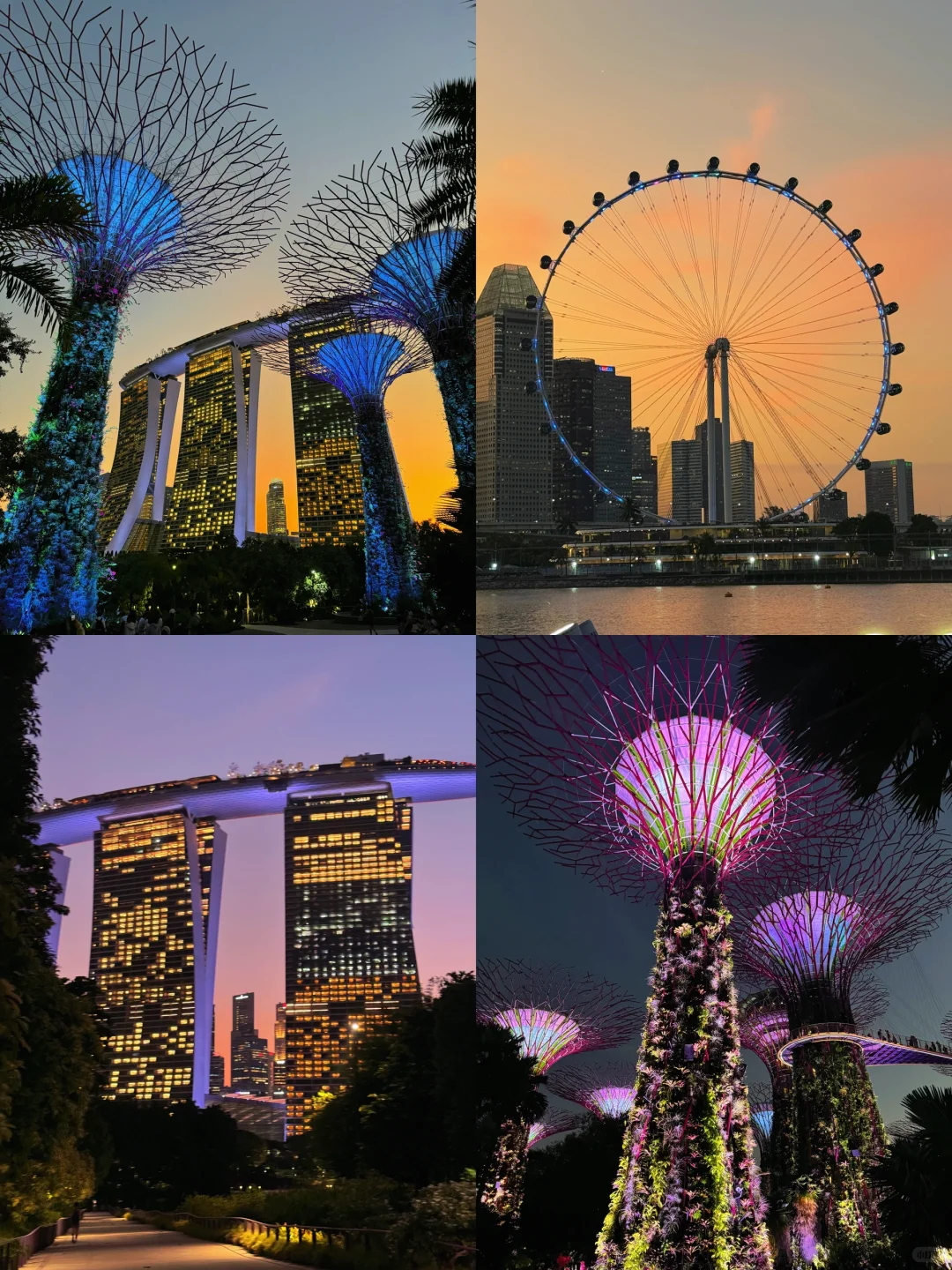 两天48h玩遍新加坡🇸🇬｜花园城市速通攻略！