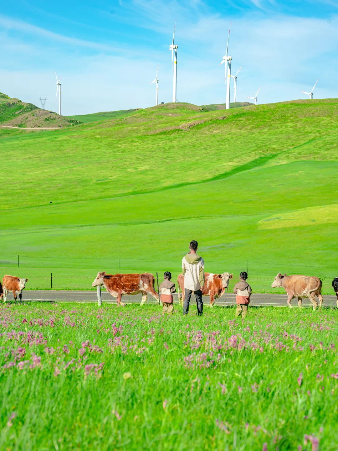 呼伦贝尔亲子游，娃哭着不愿意回来的攻略！