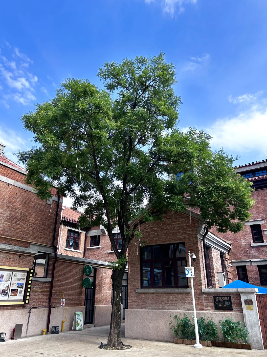 来欧洲city walk，跟天津似的