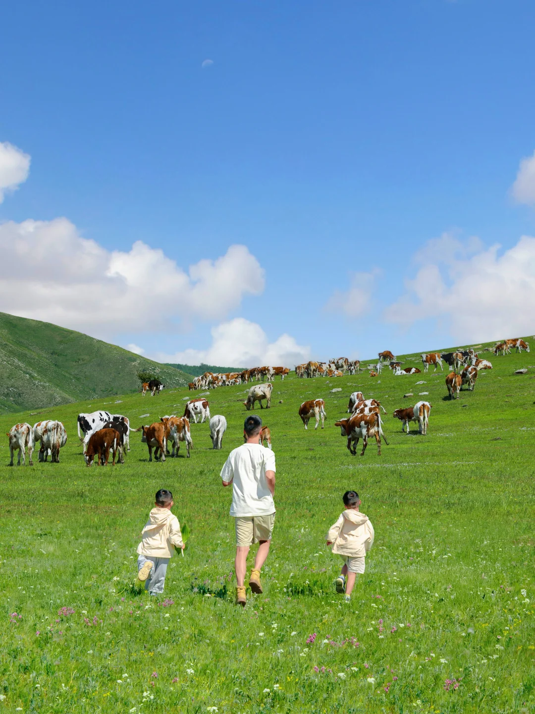 呼伦贝尔亲子游，娃哭着不愿意回来的攻略！