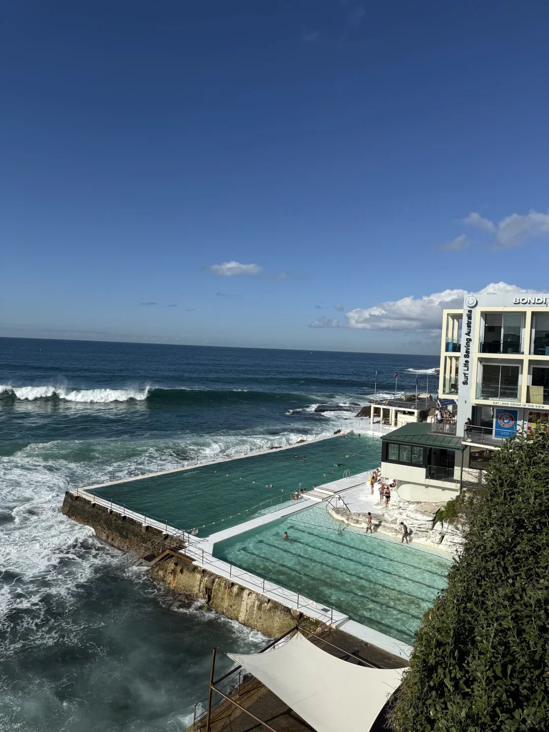 澳洲whv｜落地一个月感受