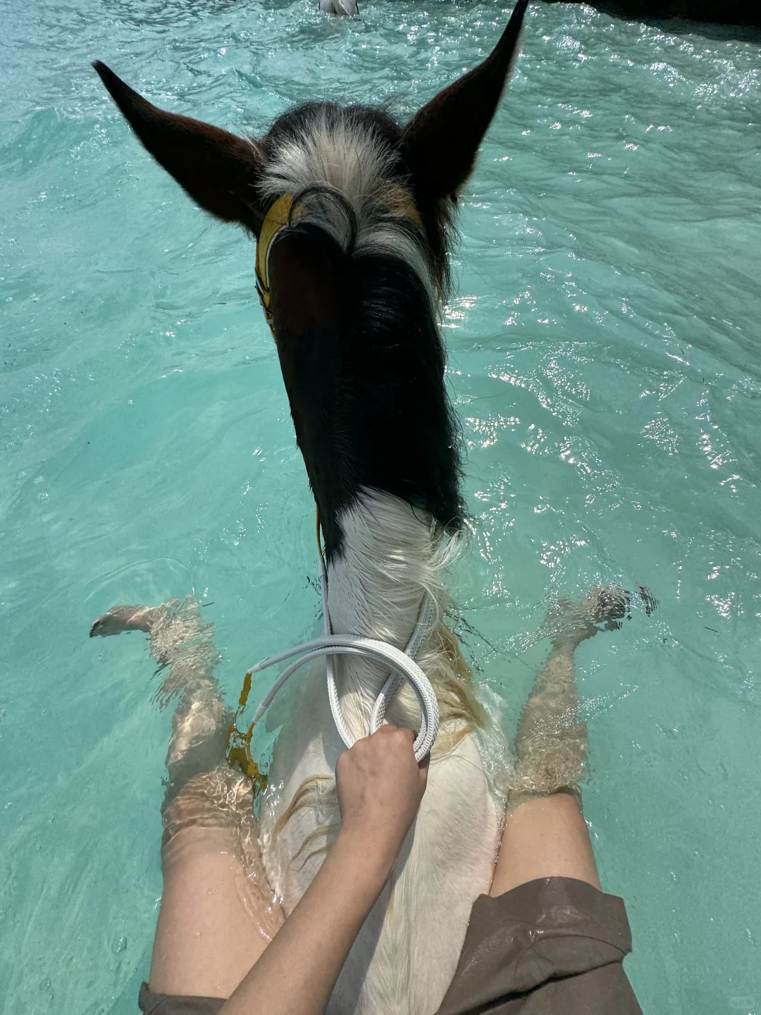 omg!在非洲骑马居然可以游进海里!!