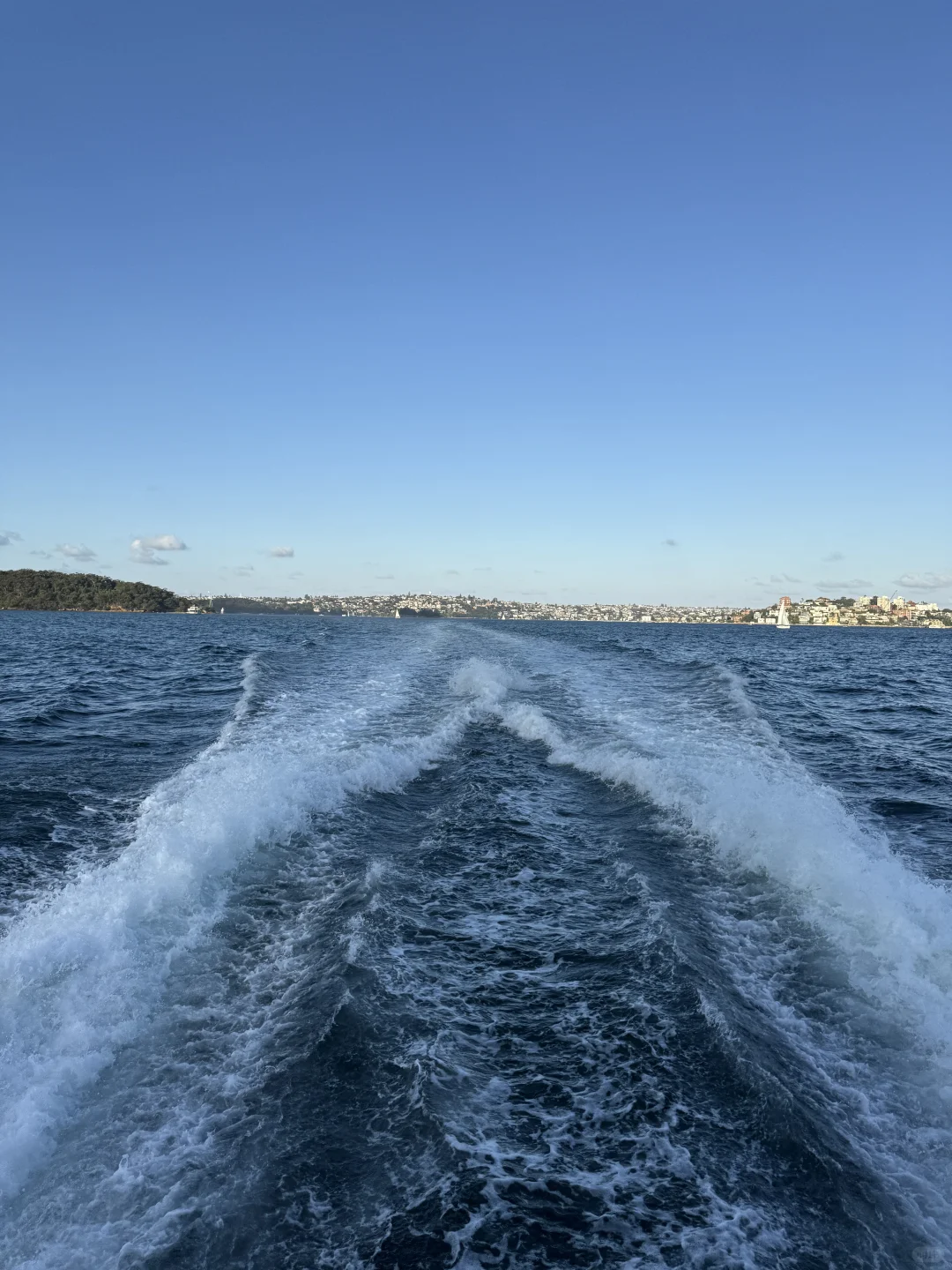 澳洲whv｜落地一个月感受