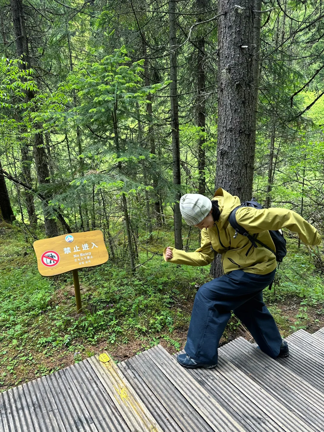 🌳松潘避暑！成都1.5h直达🚄很漂亮很值得！