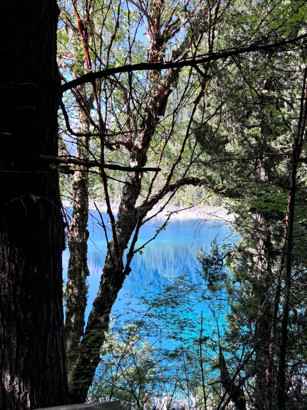 6.28太美了九寨沟