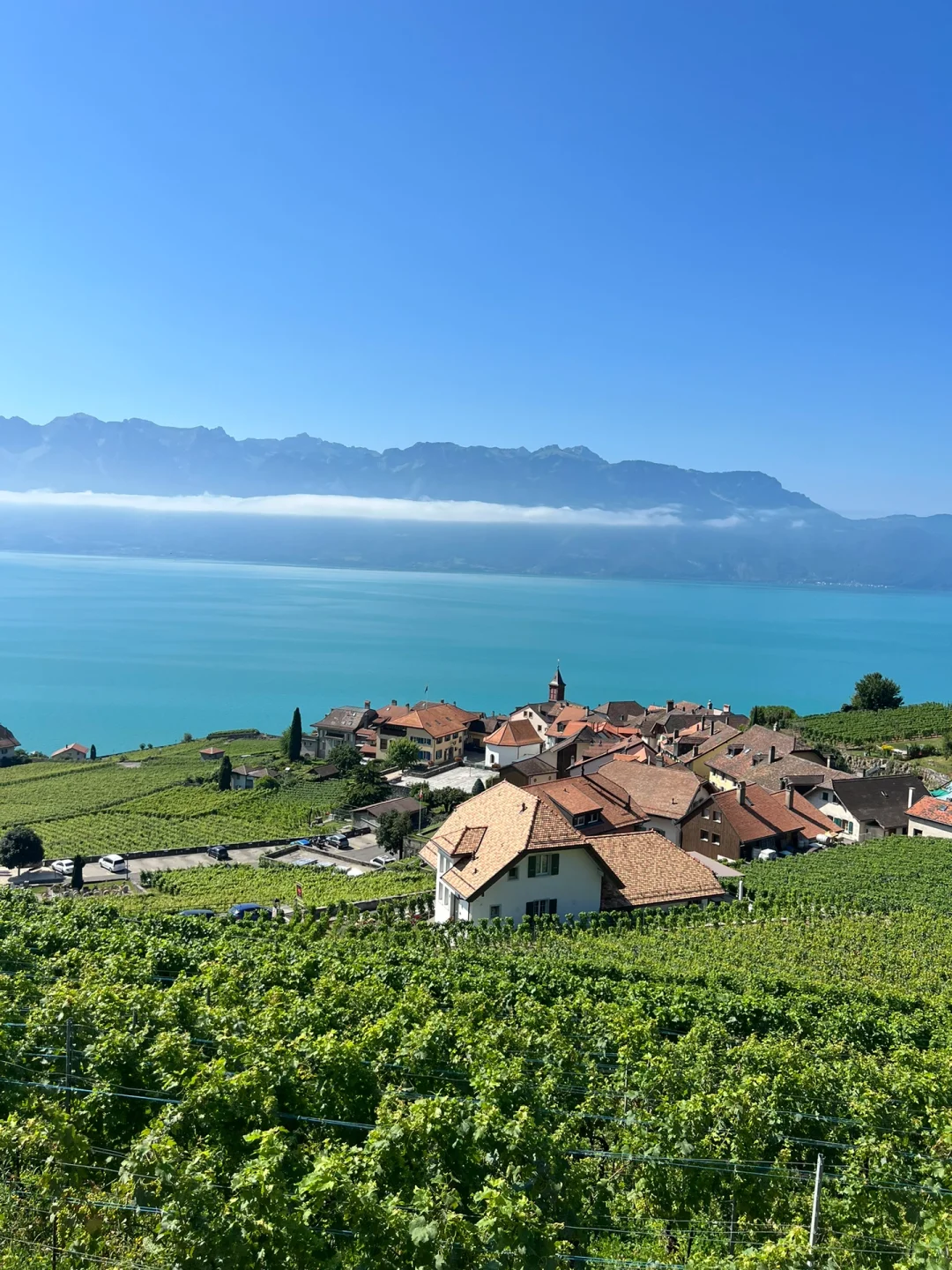 新西兰和瑞士区别