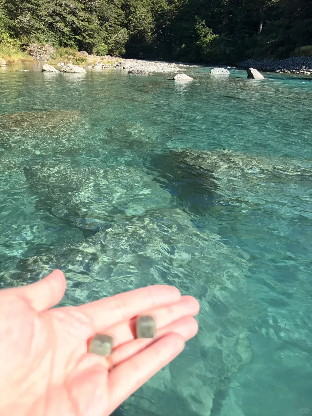 新西兰和瑞士区别