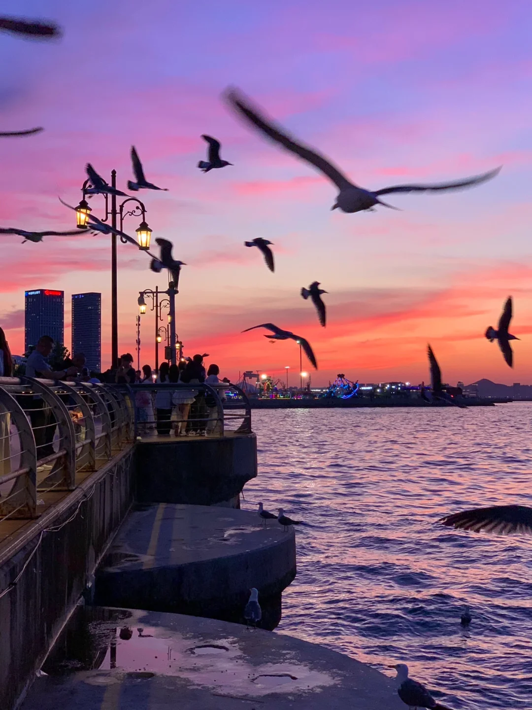 迄今为止……我最喜欢的海边城市出现了！！🌊