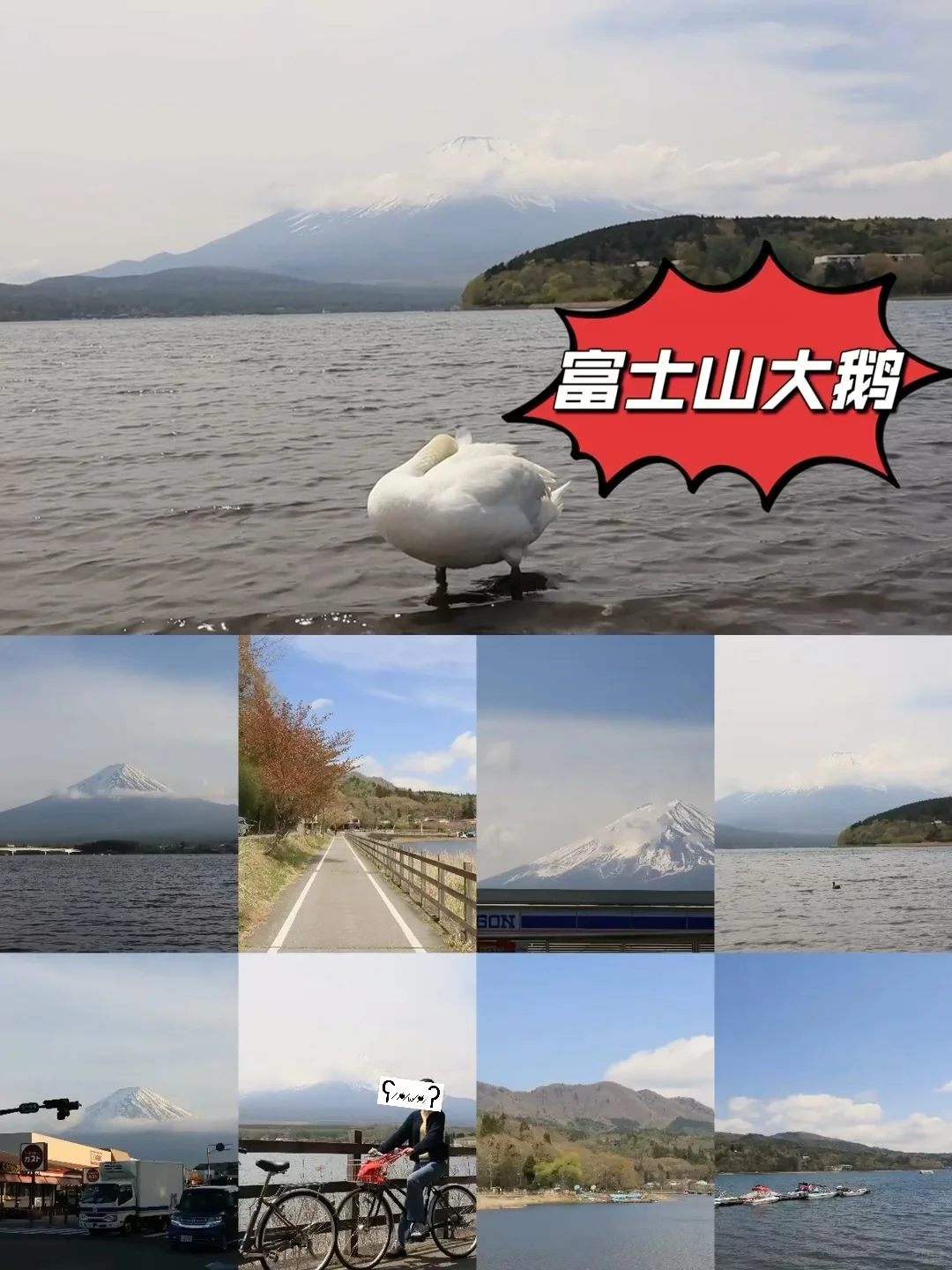 日本绝不是一个可以穷游的国家🧐