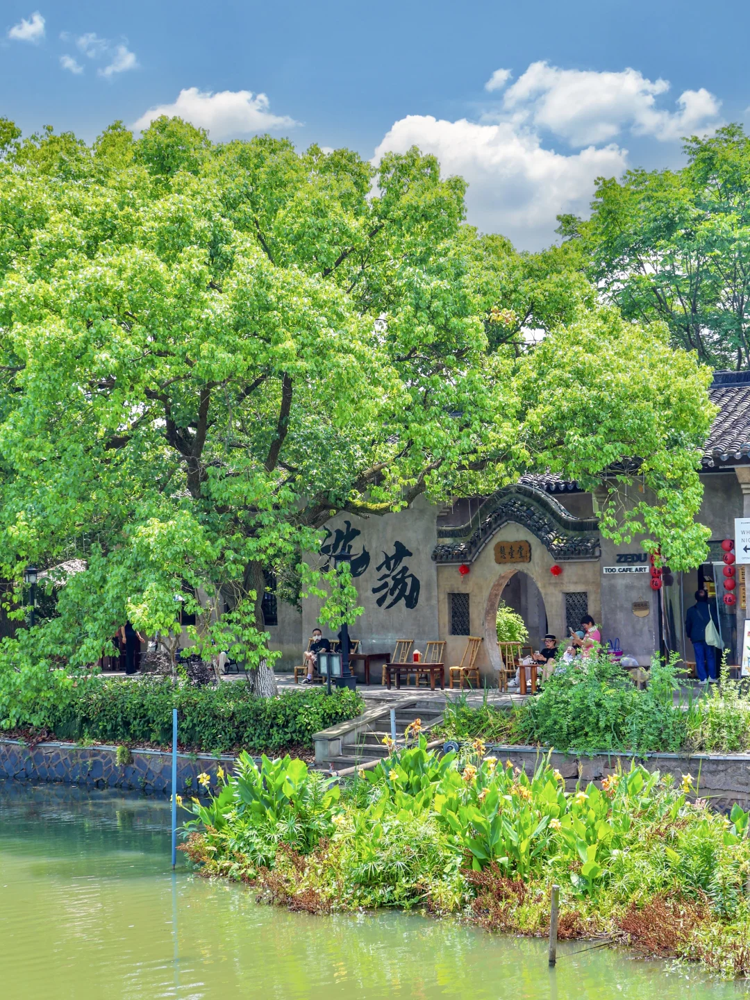 余华没骗我！这确实是江浙沪最治愈的小镇！