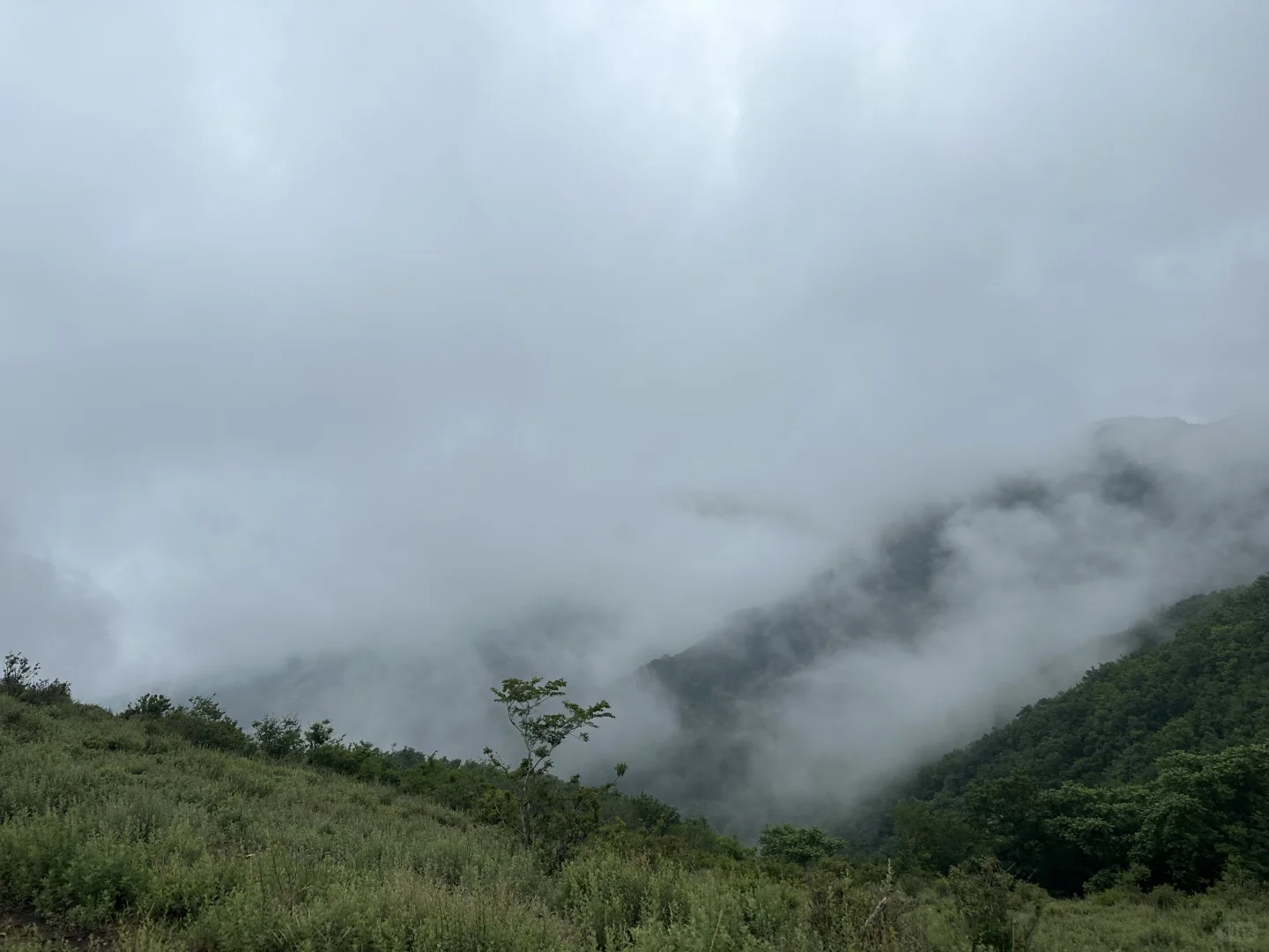 嶂石岩很好,下次不去了