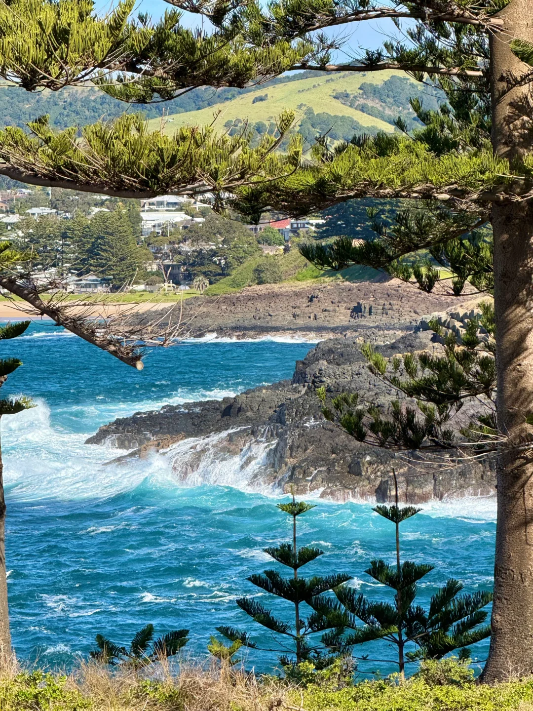 悉尼周边美的我发癫🥹