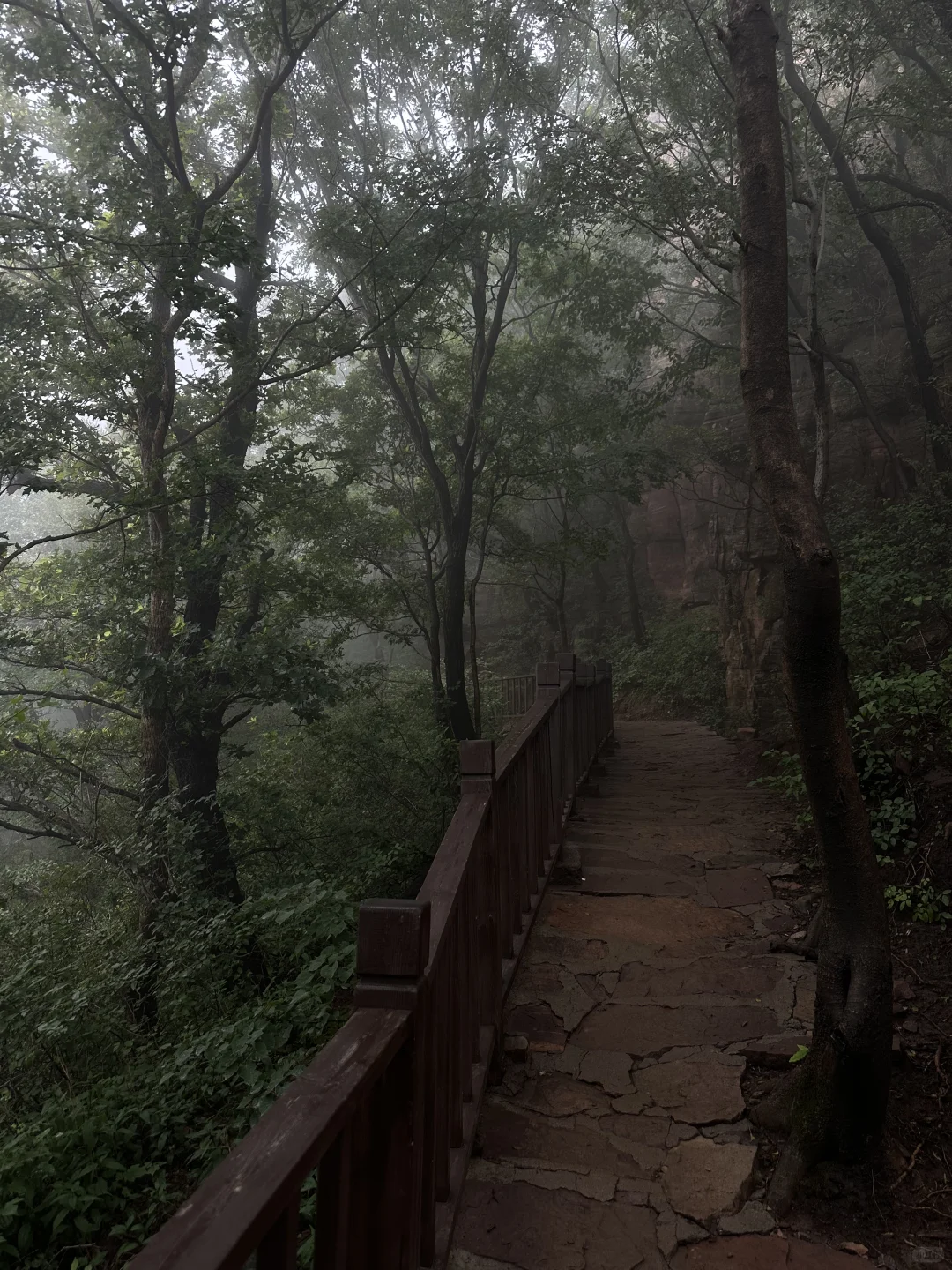 嶂石岩很好,下次不去了