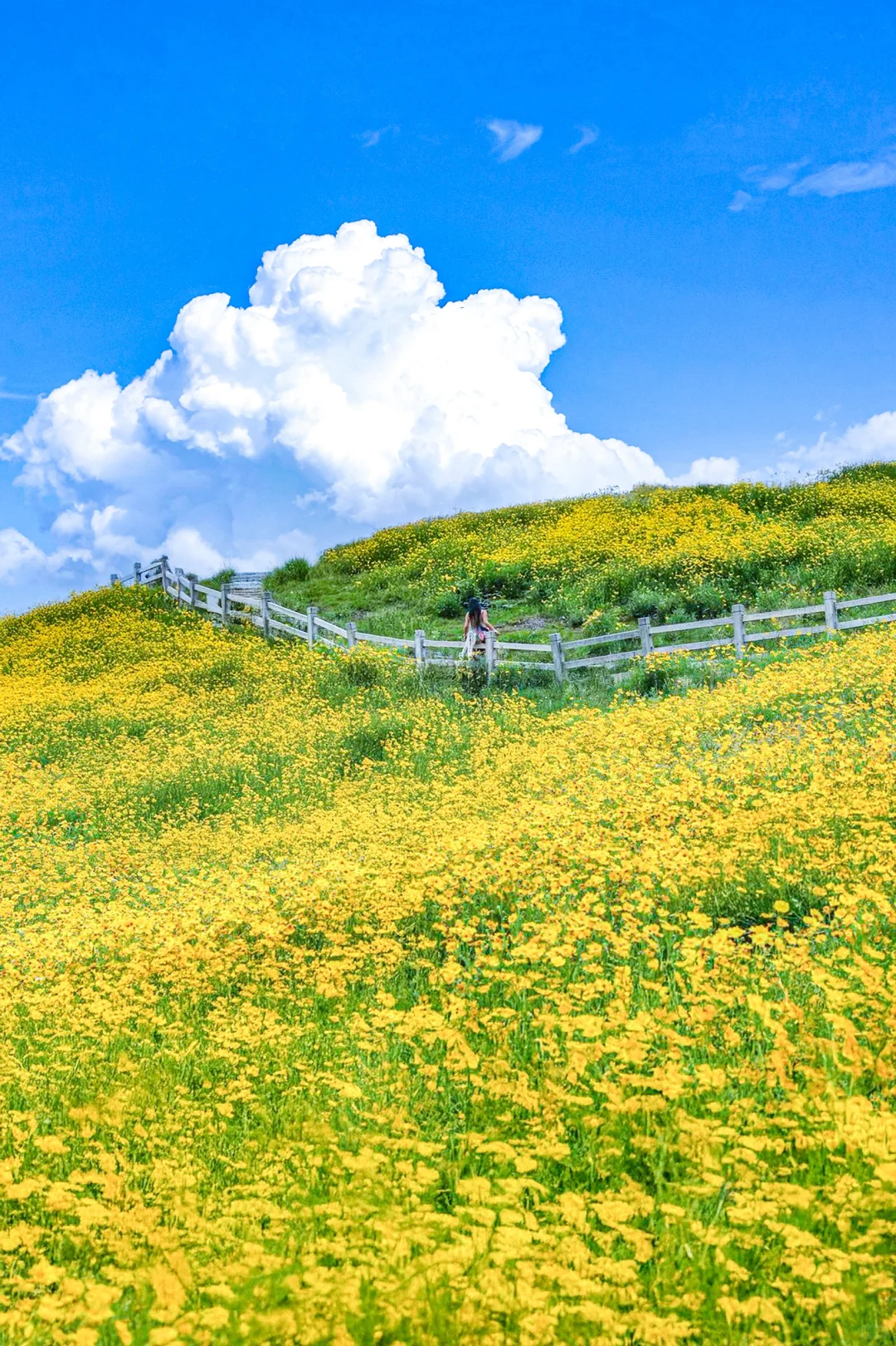 发个朋友圈问疯啦！不在新西兰 在安吉！！