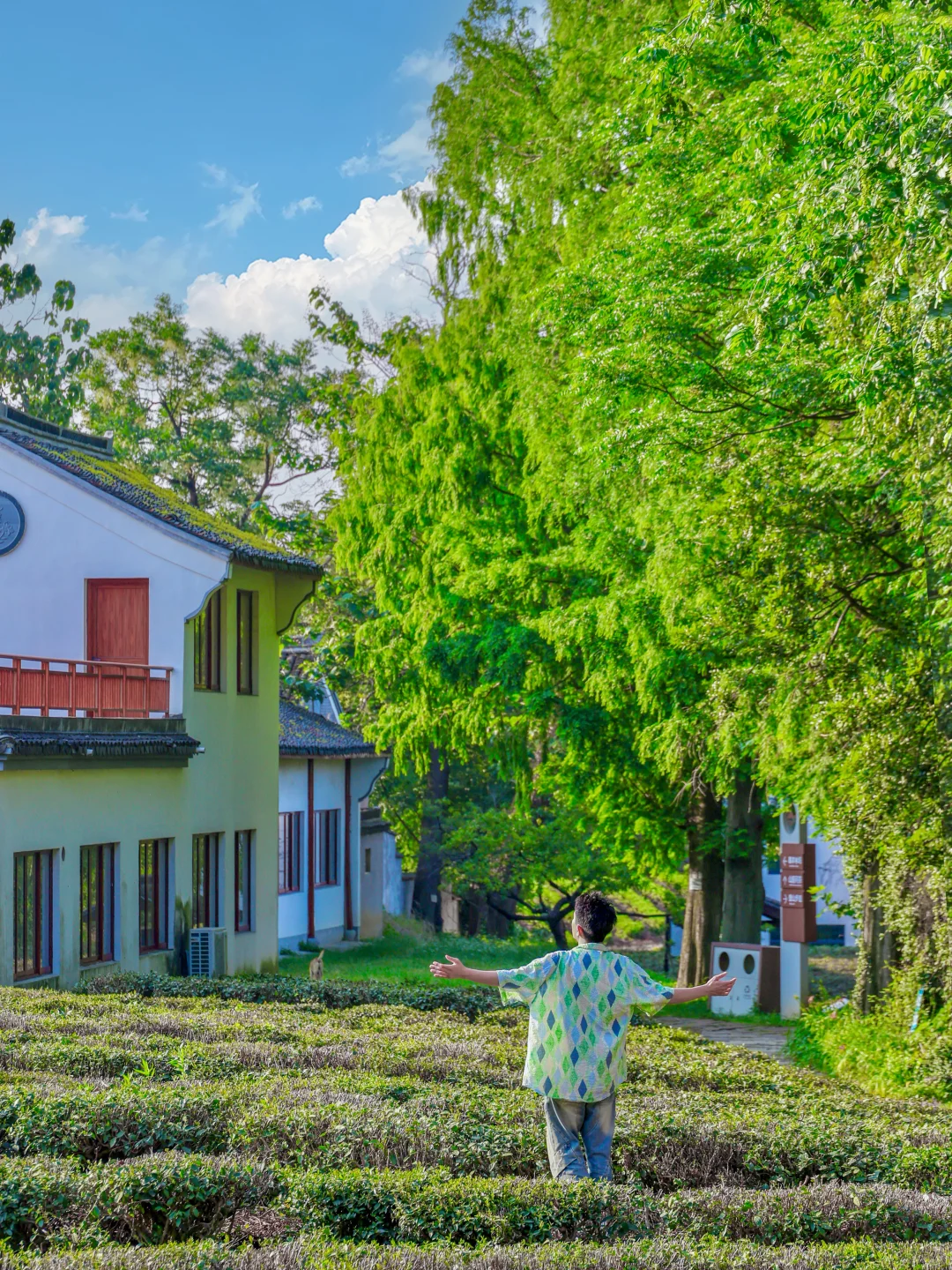 余华没骗我！这确实是江浙沪最治愈的小镇！