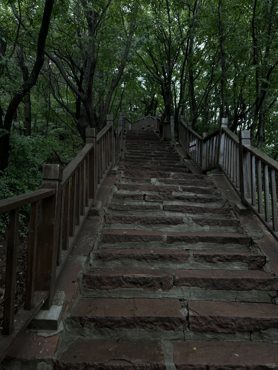 嶂石岩很好,下次不去了