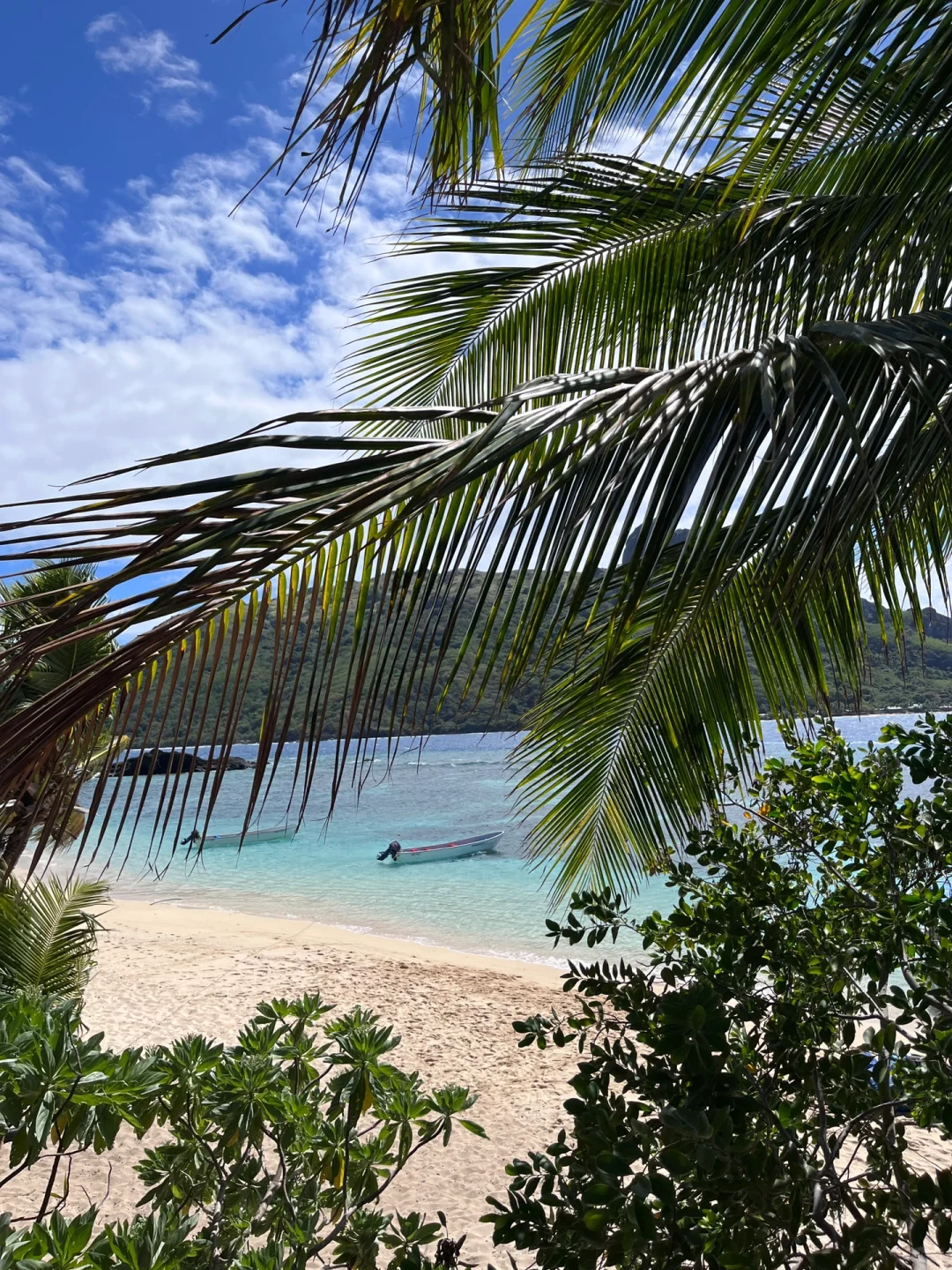 🇫🇯斐济5天4晚旅游攻略|性价比拉满