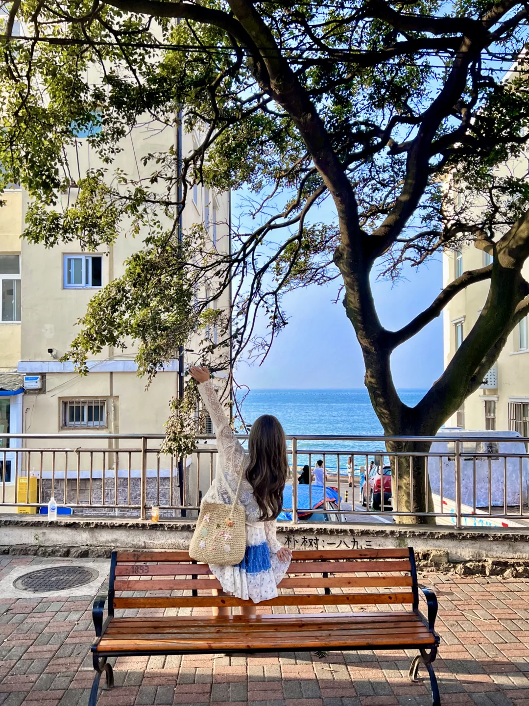 青岛旅游📍琴屿路citywalk感受风和自由🌊