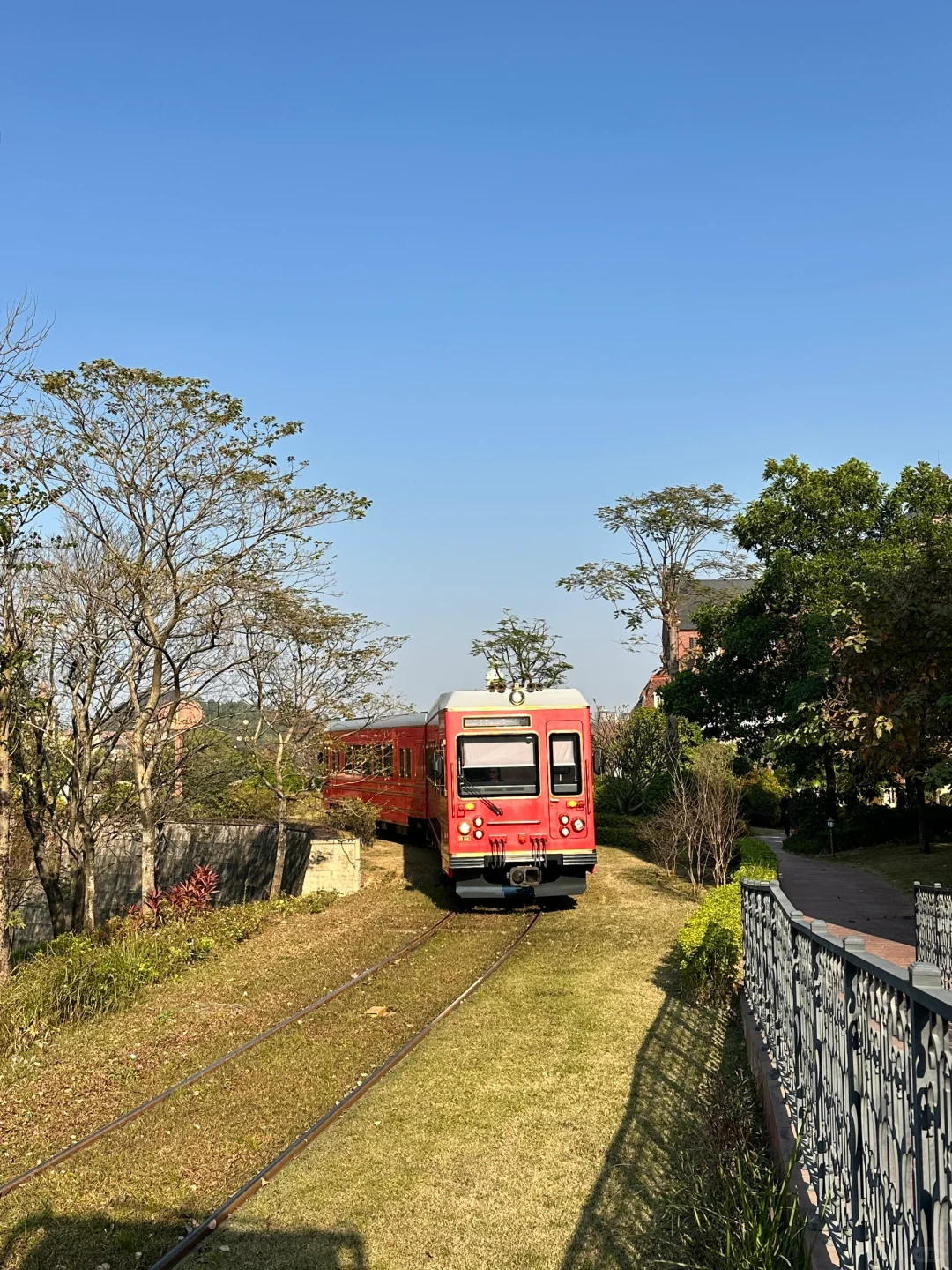太出片了!!都以为我出国了☺️