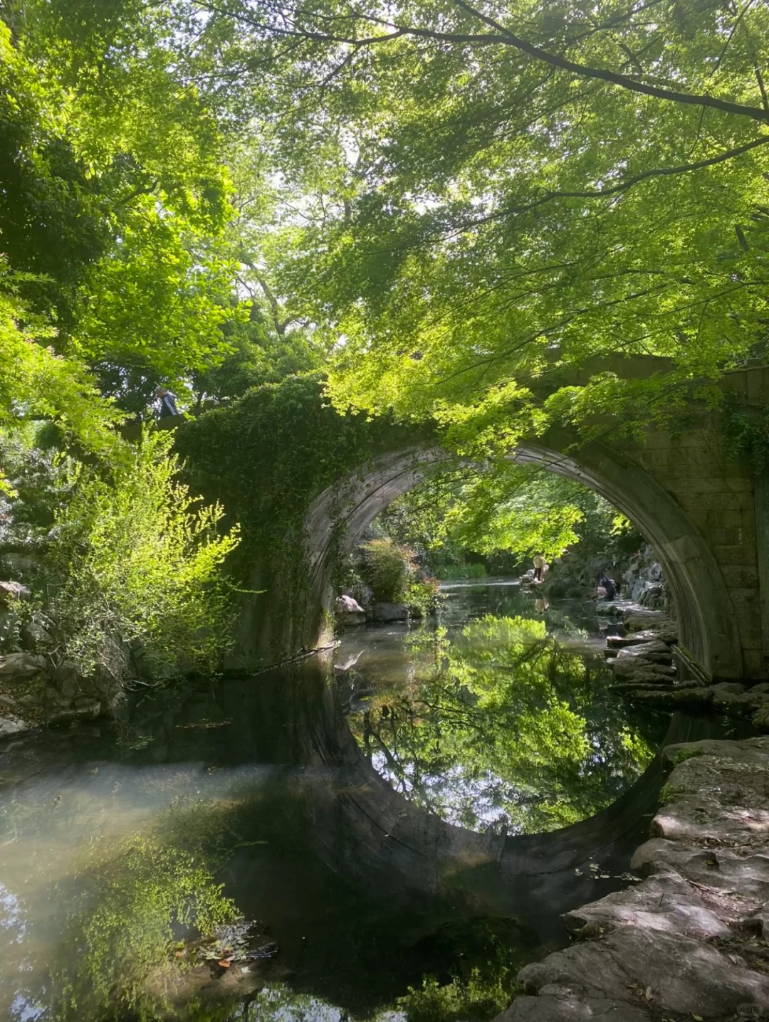 每个来杭州的朋友都会被我带来这里......