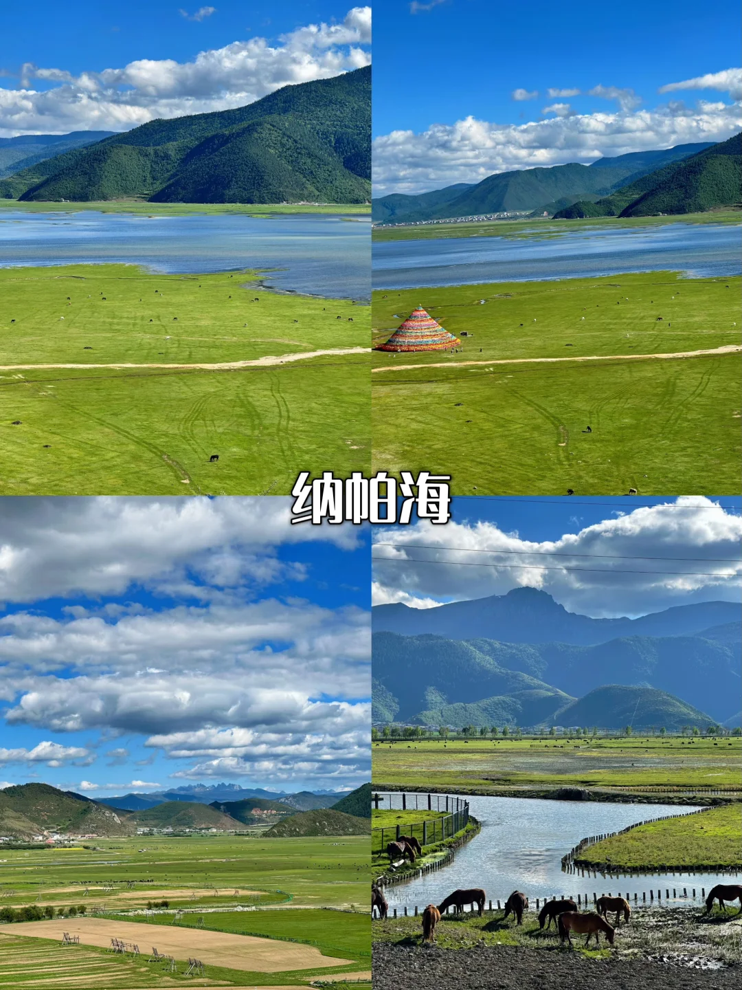 🌟大理丽江香格里拉｜暑假旅行路线图