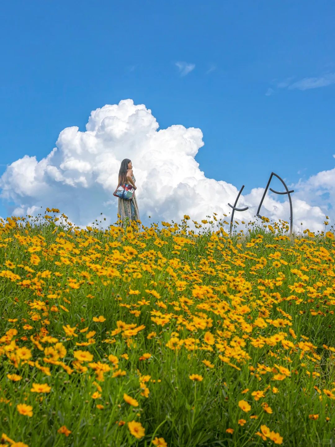 发个朋友圈问疯啦！不在新西兰 在安吉！！