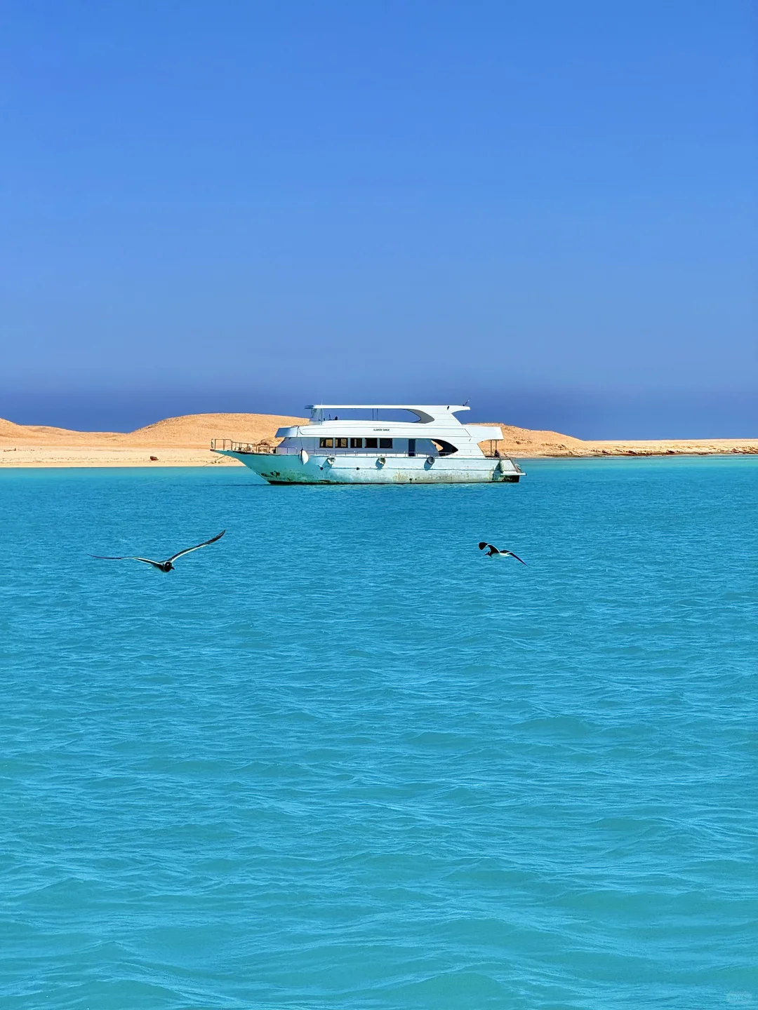 一半红海一半撒哈拉🏜️live感受顶级海张力