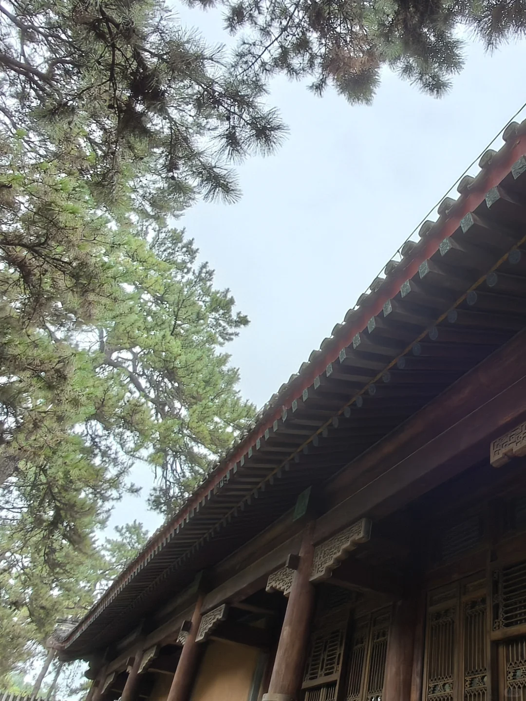 04大学生假期发现避暑胜地！