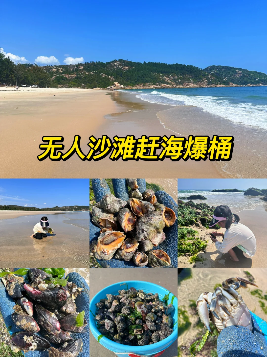 免费赶海‼️开车直达🚘小朋友轻松爆桶🦀️