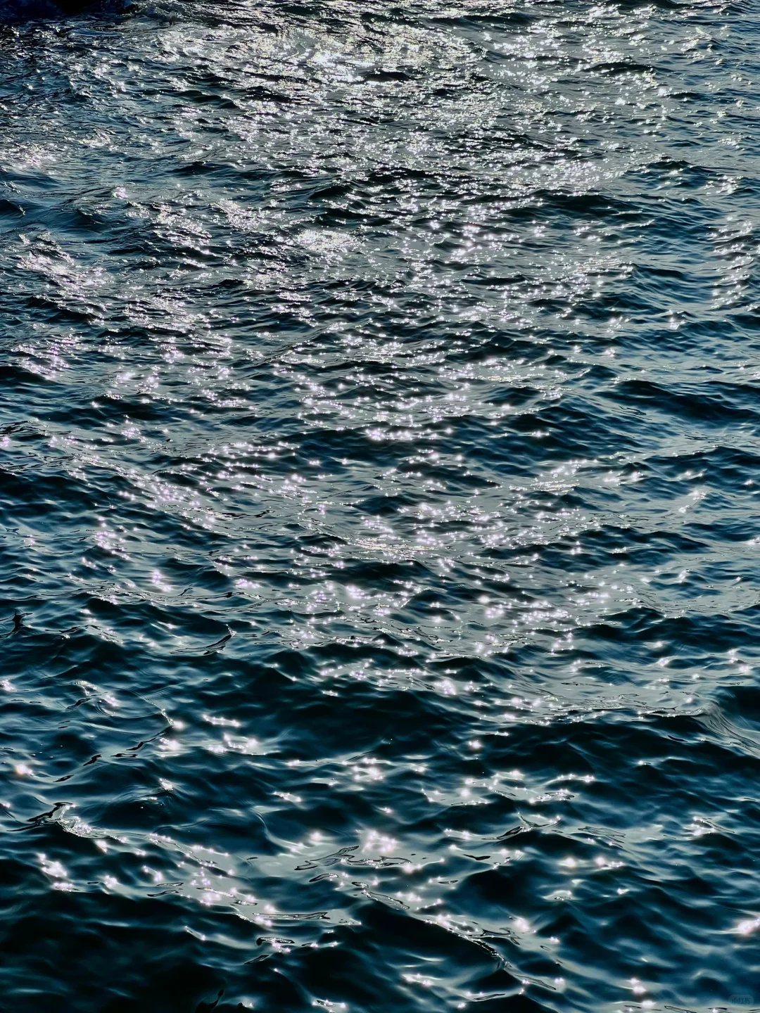 青岛旅游📍琴屿路citywalk感受风和自由🌊