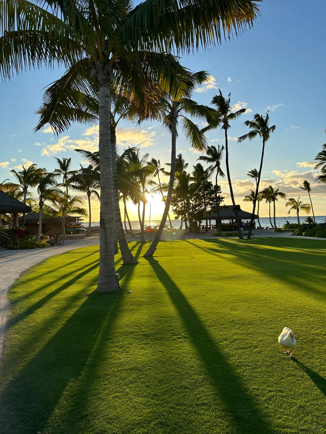 Hawaii 🩵 Rosewood Resort