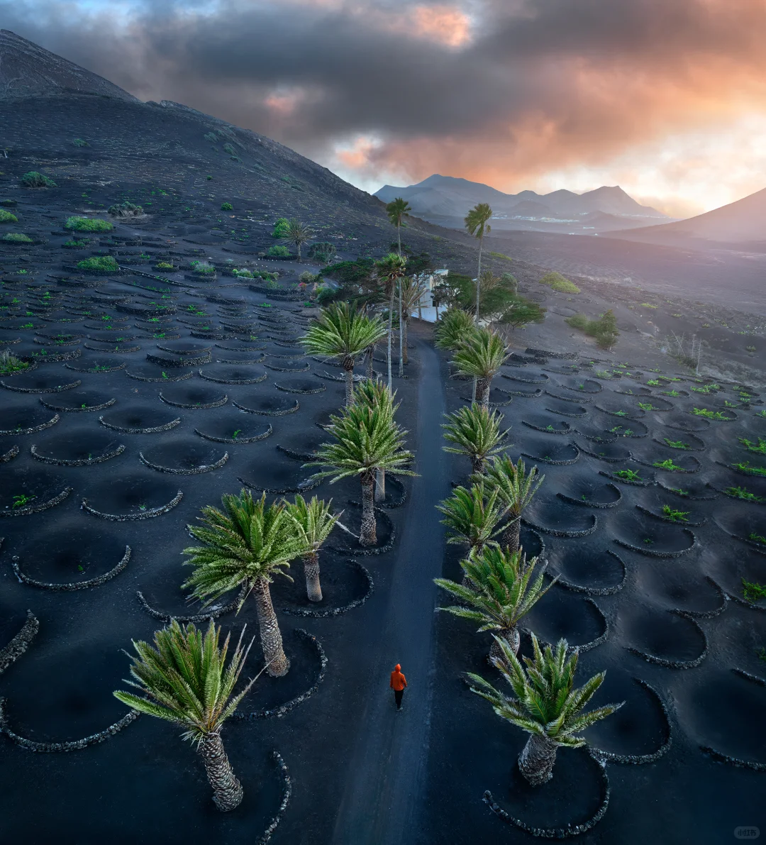 我终于登陆了外星球！这里有上百座火山口