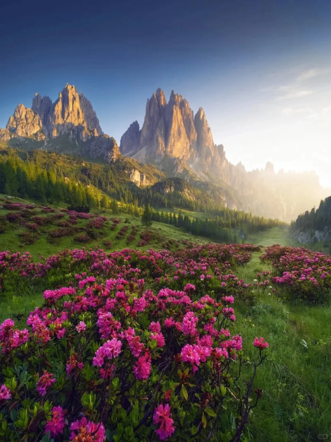 多洛米蒂Dolomites｜阿尔卑斯山的童话秘境