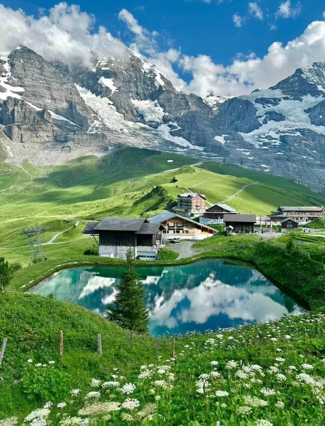 新西兰和瑞士区别