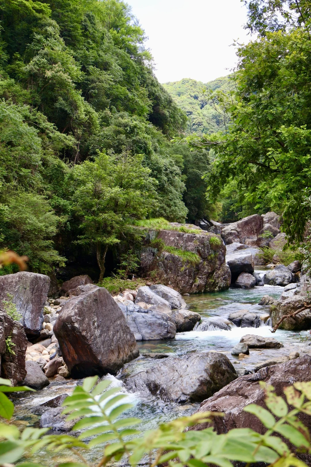 皖南绿野仙踪🌿｜带娃冲进25°C的翡翠溪谷