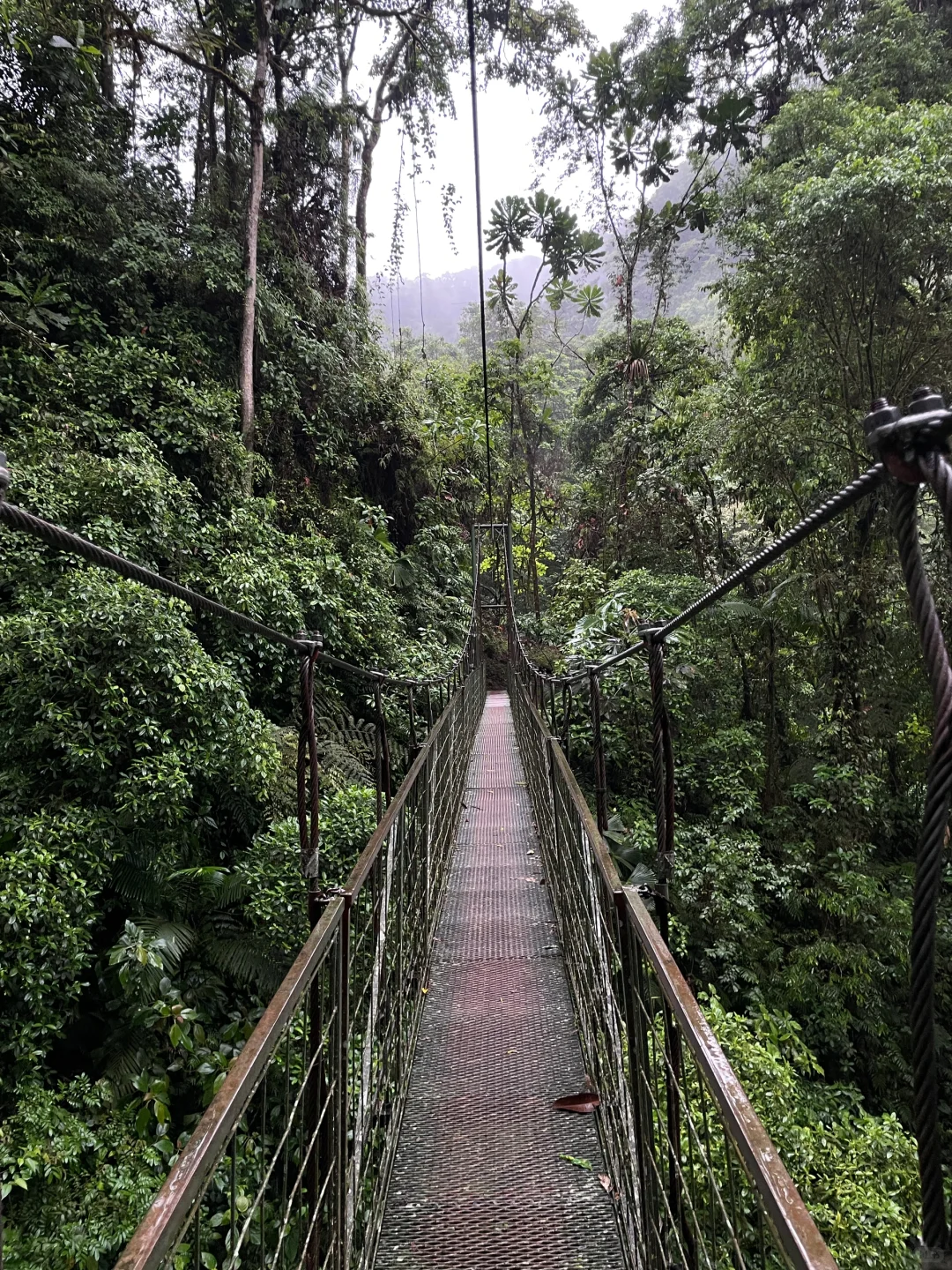 哥斯达黎加5日游小攻略🇨🇷