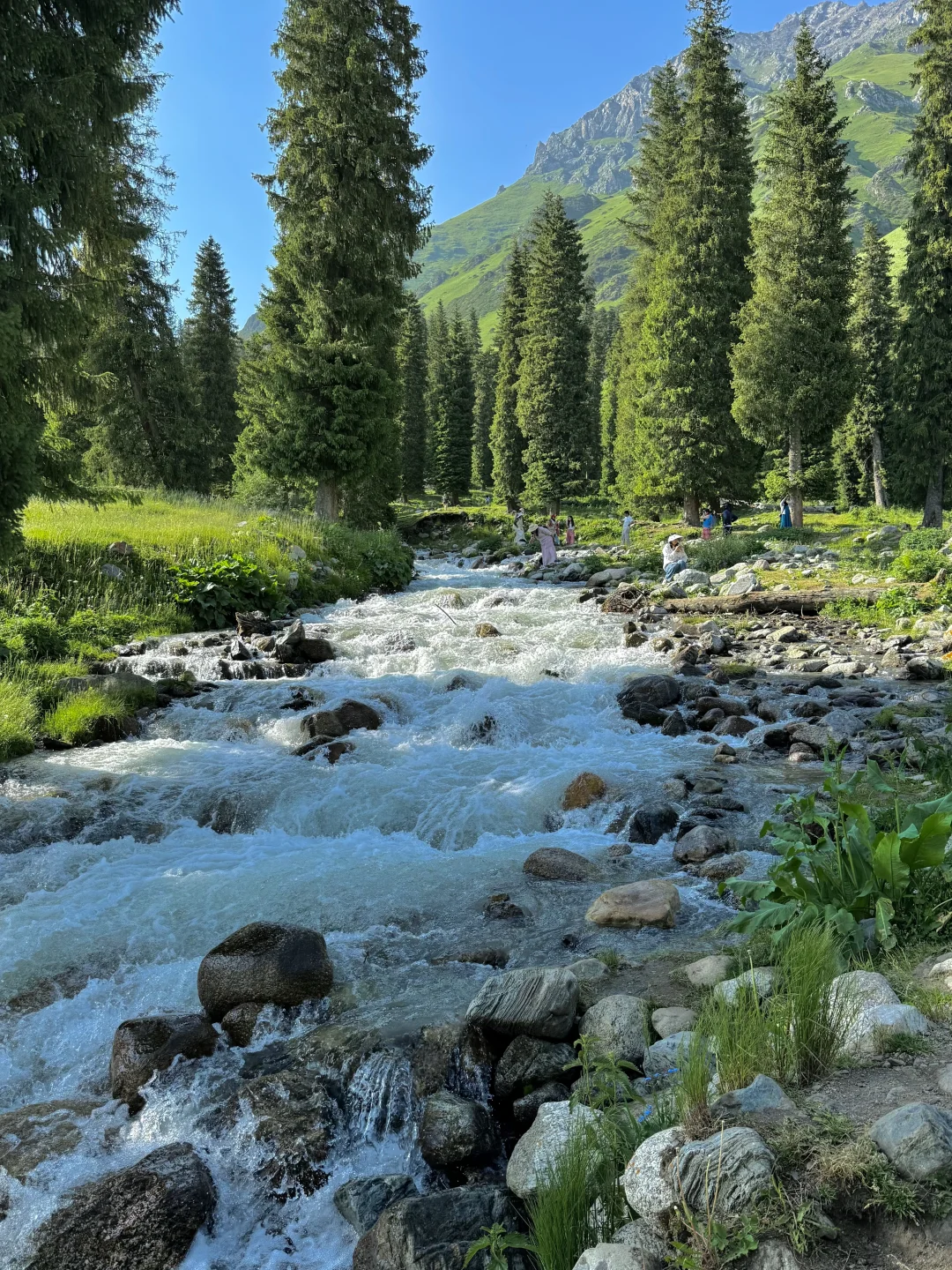这么近，那么美！
