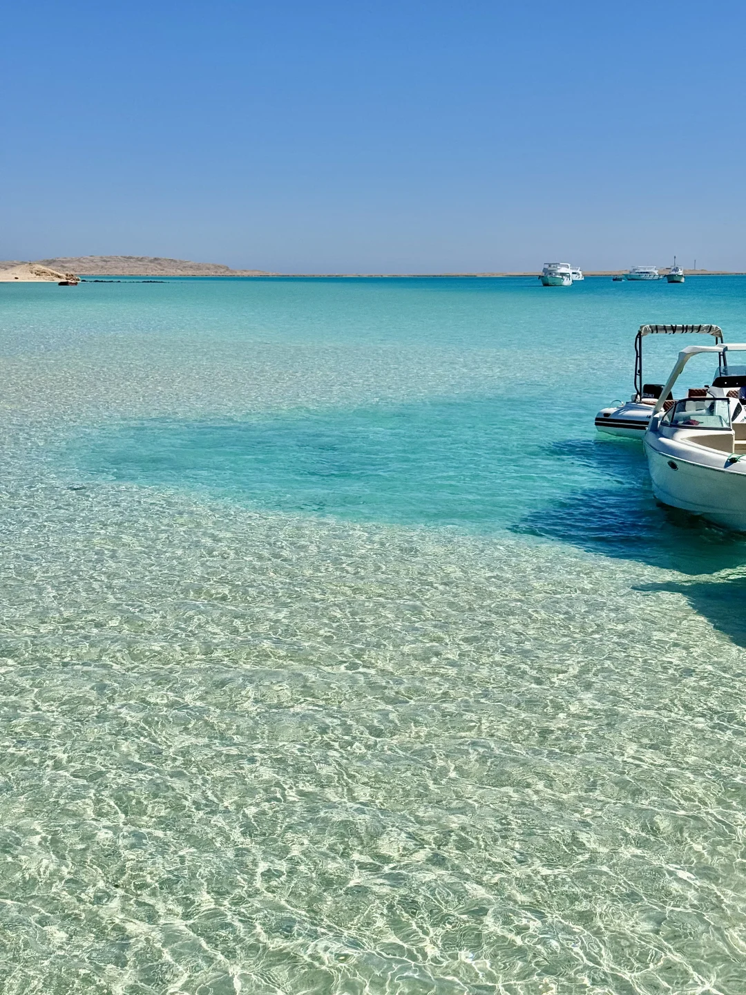 一半红海一半撒哈拉🏜️live感受顶级海张力