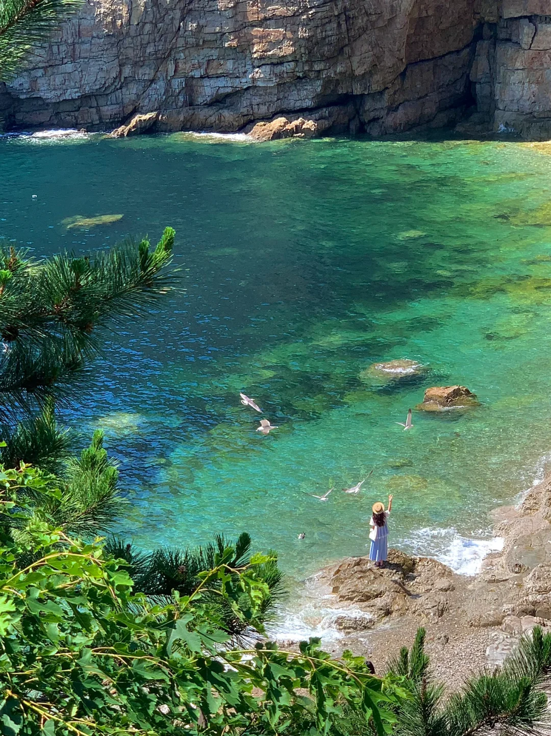 迄今为止……我最喜欢的海边城市出现了！！🌊