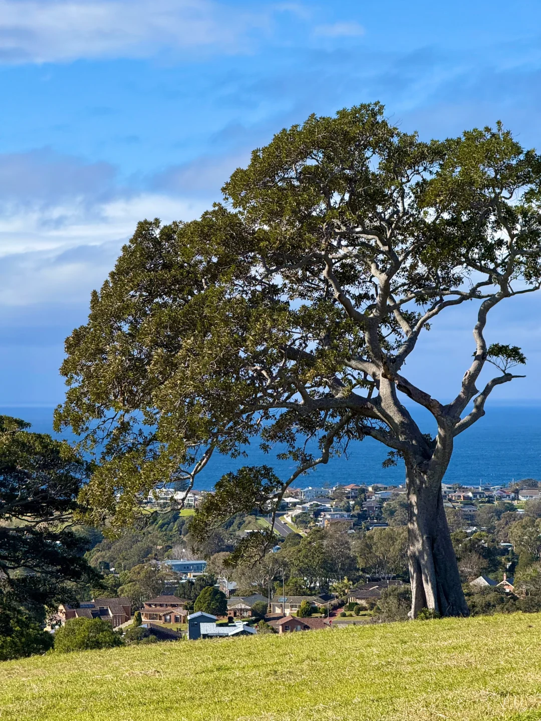 悉尼周边美的我发癫🥹