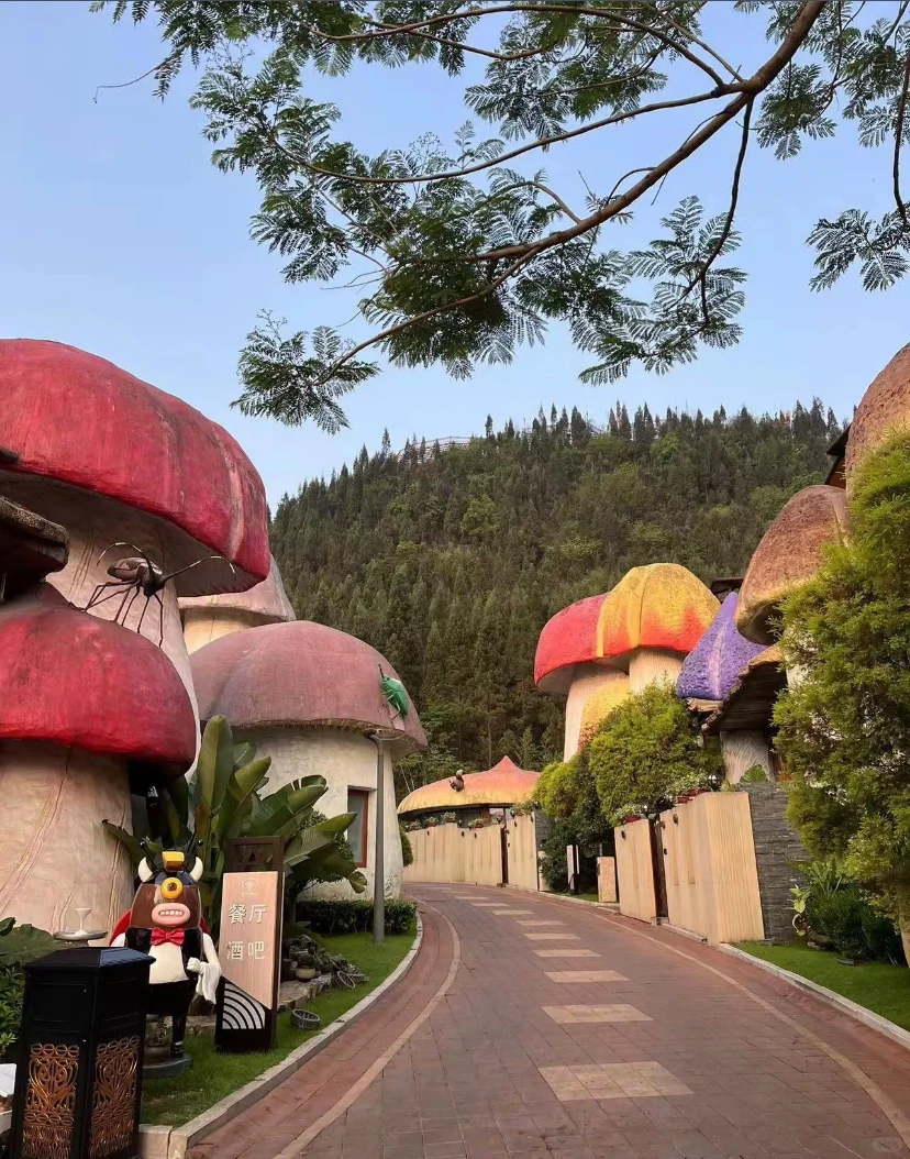 贵州旅游必备清单