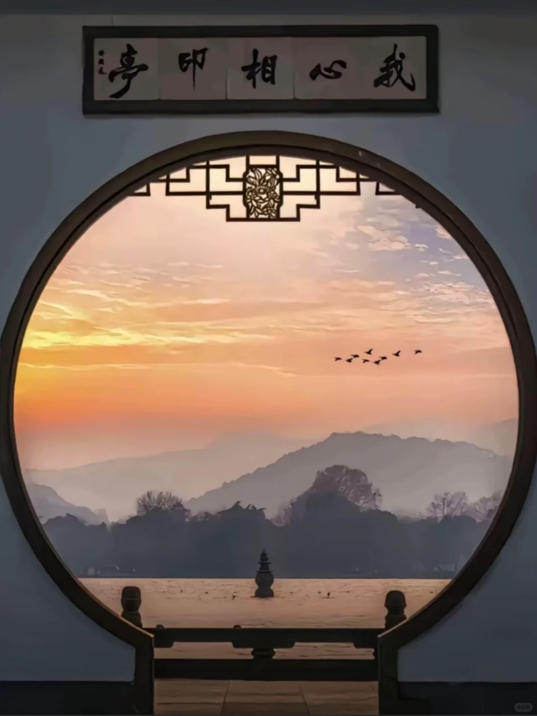 每个来杭州的朋友都会被我带来这里......