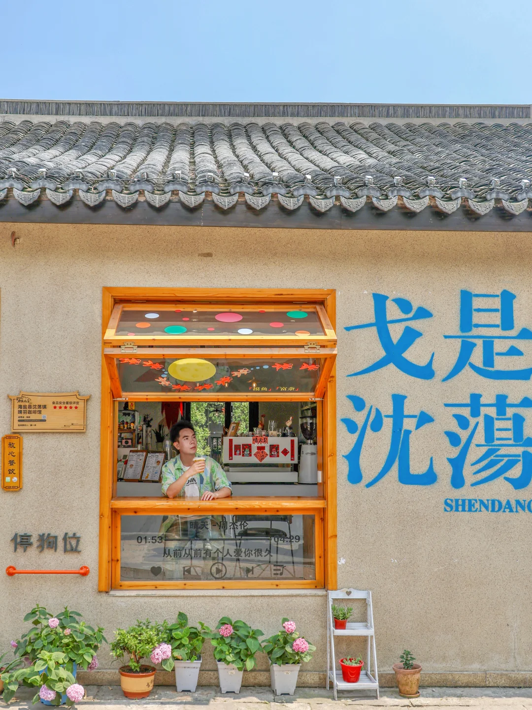 余华没骗我！这确实是江浙沪最治愈的小镇！