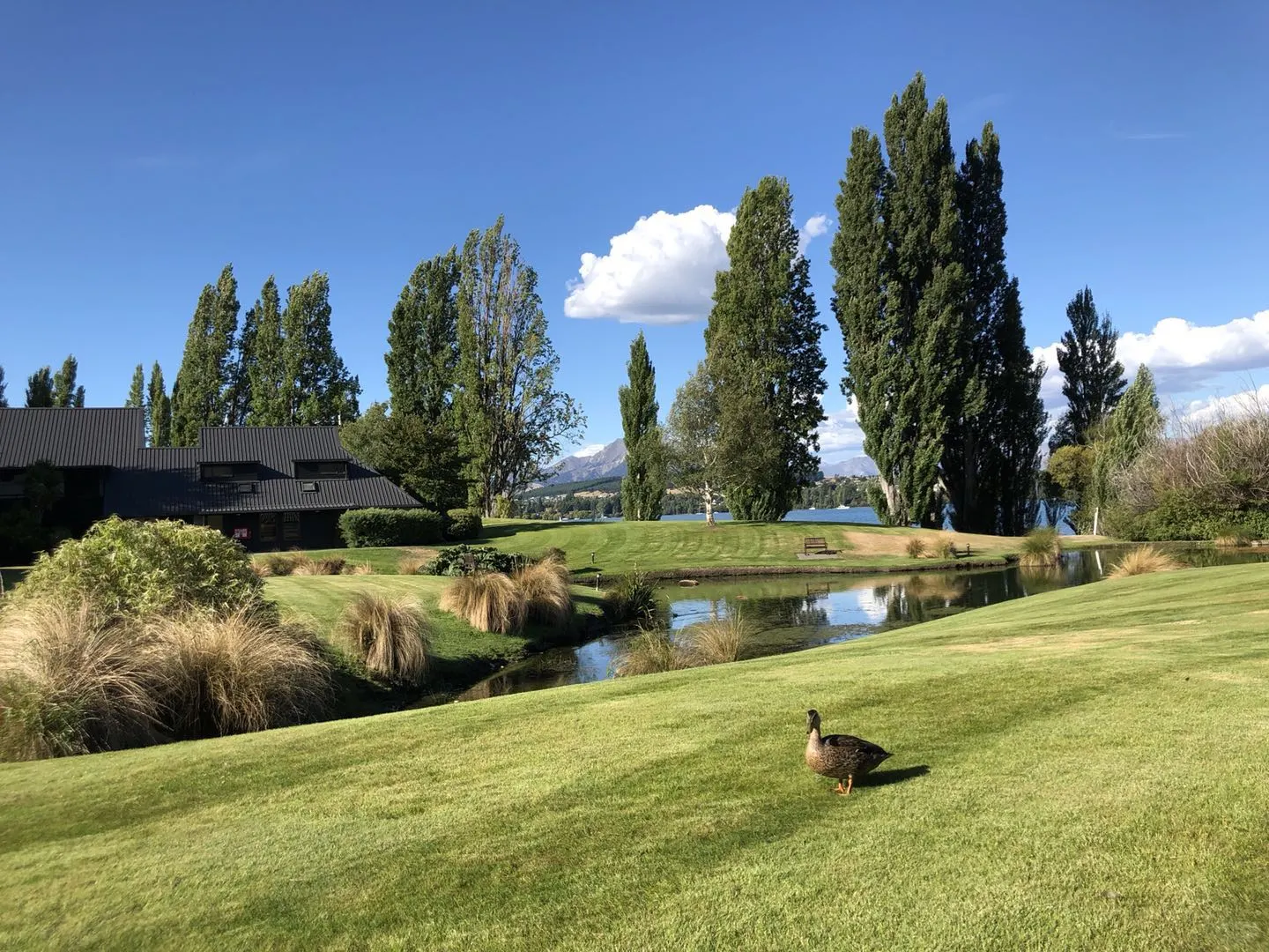 新西兰和瑞士区别